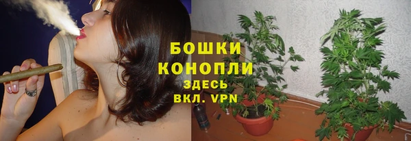 mdpv Горняк
