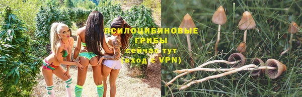 мяу мяу кристалл Гусиноозёрск