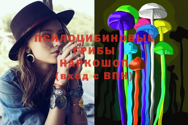 МДМА Горнозаводск