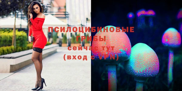 MESCALINE Горно-Алтайск