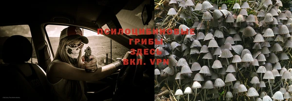 МДМА Горнозаводск