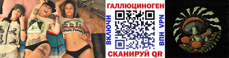 Галлюциногенные грибы Psilocybine cubensis Томск