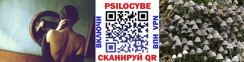 наркота  Томск  Псилоцибиновые грибы мухоморы 